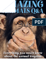 DK-Amazing Animals Q & A