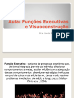 Aula Funções Executivas e Visuoconstrução