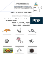 FICHA 6-Reconociendo A Los Animales Invertebrados