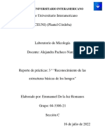 Practica No. 3 - Reconocimiento de Estructuras Basicas de Los Hongos