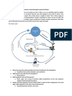 Nitrogen and Carbon Cycle