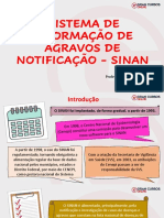 Sistema de Informação de Agravos de Notificação - Sinan: Professora: Natale Souza