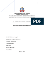 Universidade Federal Do Pará