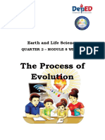 The Process of Evolution: Earth and Life Science