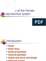 Anatomy of The Female Reproductive System