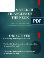 3d. Triangles of The Neck