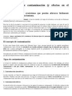 Los 10 Tipos de Contaminación