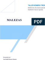 MALEZAS