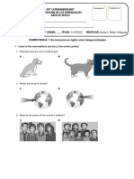 Evaluacion S4 Reading and Listening