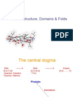 Protein Folds and Structure