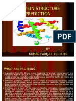 Protein Structure Prediction