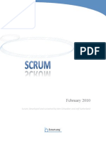 Scrum Guide Feb 2010