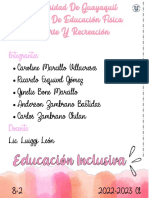 Educacion Inclusiva Organizador Grafico