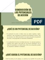 Conducción de Los Potenciales de Acción