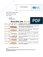 (Orina y Heces) Fundamentos