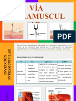 Via Intramuscular