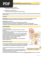 Hipotálamo y Glándula Hipófisis (Libro)