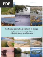 Ecological Restoration of Wetlands in Europe