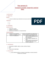 Desarrollo Cerebral Fetal)