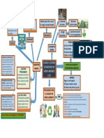 Mapa Mental Respecto A Los Planes y Acciones Establecidos en Medio Ambiente y SST