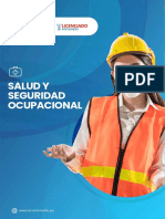 Salud Y Seguridad Ocupacional: WWW - Acarrion.edu - Pe