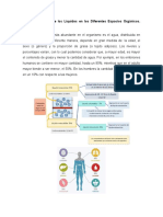 Trastornos Hídricos y Hemodinámicos