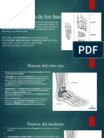 Conformacion de Los Huesos