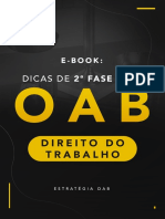 Direito Do Trabalho Priscila Ferreira