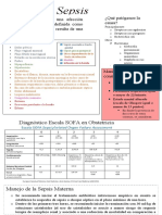 Sepsis Materna