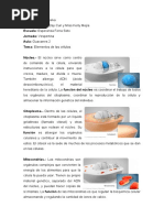 PDF Documento