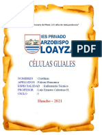 Células Gliales