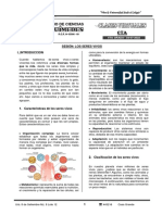 6to Grado Clasificacion de Los Seres Vivos