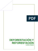 Deforestacion Reforestacion