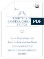 Registros de Bandera, Cadenas y Saltos