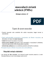 Fibra Musculară Striată (FMS)