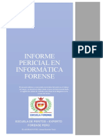 Informe Pericial de Informatica Forense