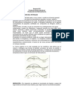 Origen y Migracion Del Petroleo