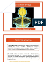 Sistema Nervoso