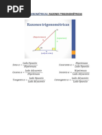 Funciones Trigonométricas Círculo Unitario