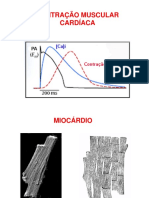 Contração Muscular Cardíaca