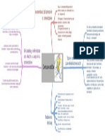 Correccion Mapa Conceptual