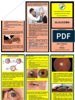 Triptico Glaucoma Parraga Veliz Cesar Alejandro