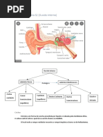 Aula de Anatomia S2