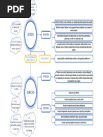 Mapa Conceptual