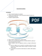 Evaluacion de Estados de La Materia