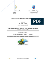 Proyecto de Investigacion Acv Cianuro Pablo Rodriguez