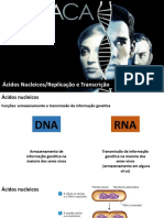 Aula - Replicação e Transcrição Do DNA