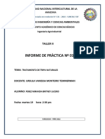 Esquema - Informe de Práctica Tripas