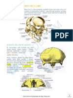 1 - CONTENCION NEUROSENSORIAL - Sistema de La Contencion Neurosensorial