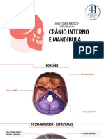 Crânio Interno e Mandibula